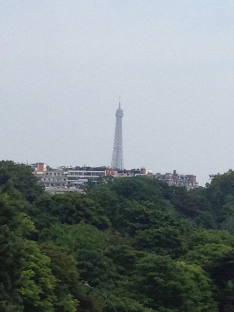 Our view of the Eiffel tower
